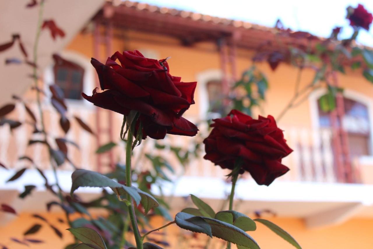 Recanto Das Abelhas - 300 M Do Centro Historico Hotel Tiradentes Ngoại thất bức ảnh